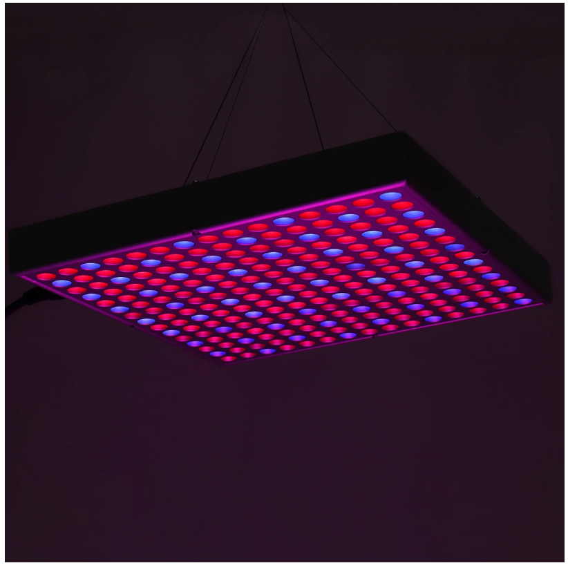 LED Grow Lamp