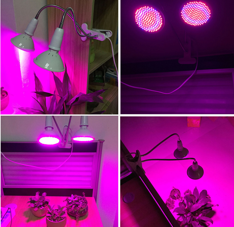 Red and Blue LED Grow Light for Plants and Vegetables