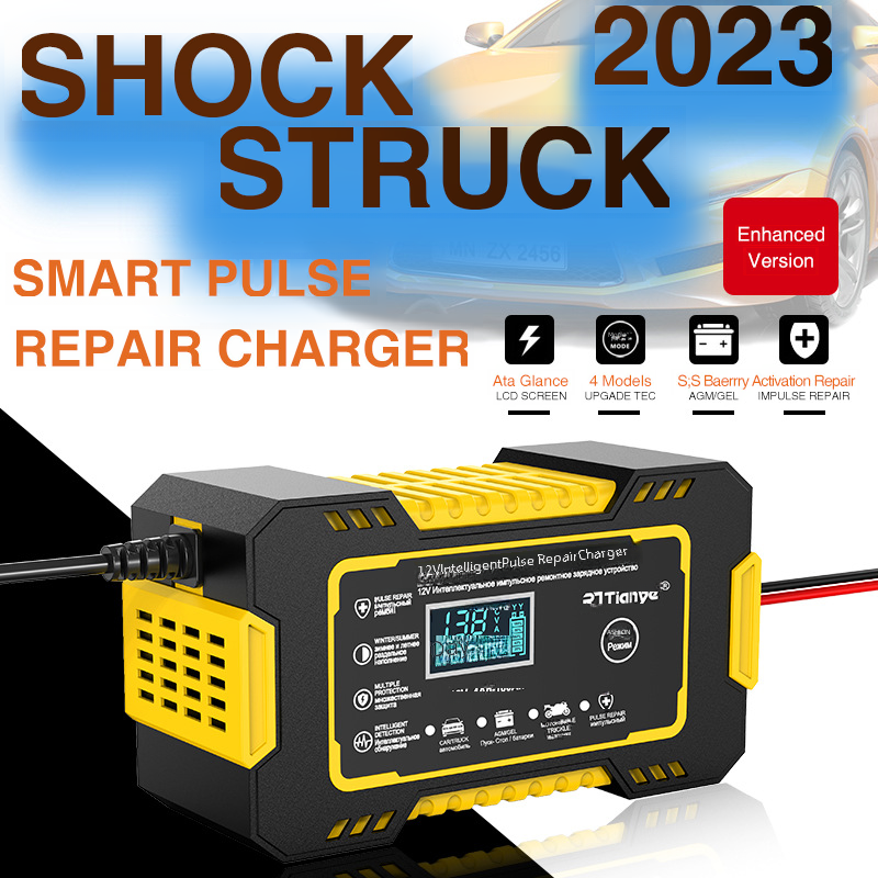 12V 6A Charger for Car and Motorcycle Batteries